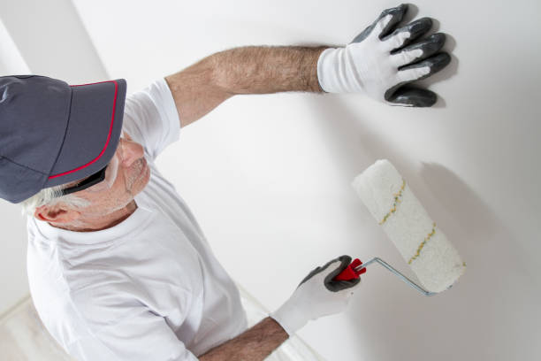 Best Emergency Mold Remediation  in Honsville, GA