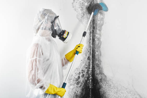 Mold Remediation for Rental Properties in Hogansville, GA