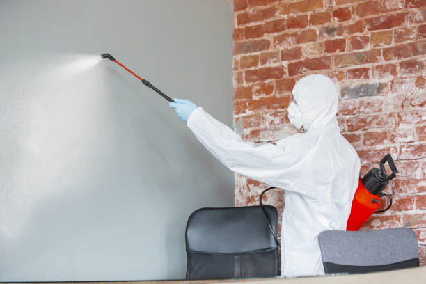 Professional Mold Removal in Hogansville, GA