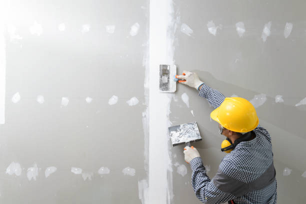 Best HVAC Mold Inspection and Cleaning  in Honsville, GA
