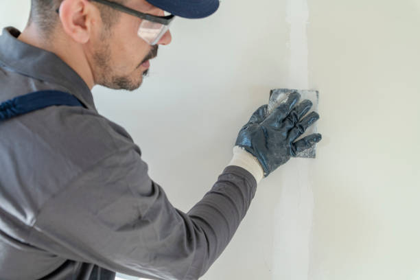 Best Attic Mold Removal  in Honsville, GA