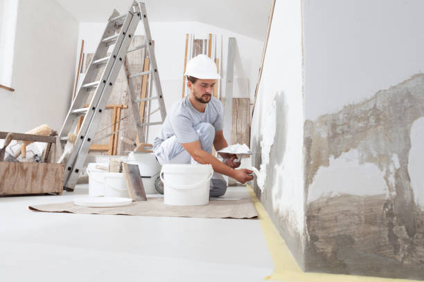 Best Mold Damage Restoration  in Honsville, GA