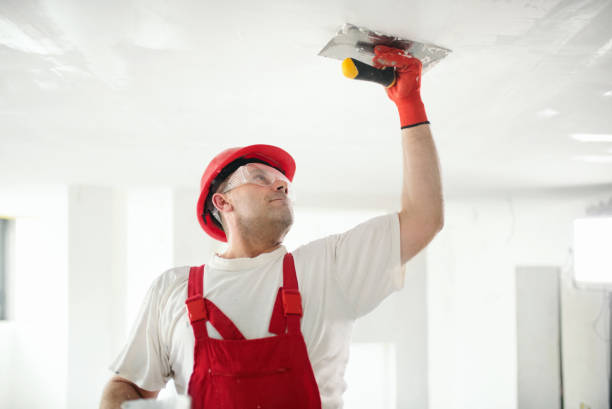 Best Forensic Mold Investigation  in Honsville, GA