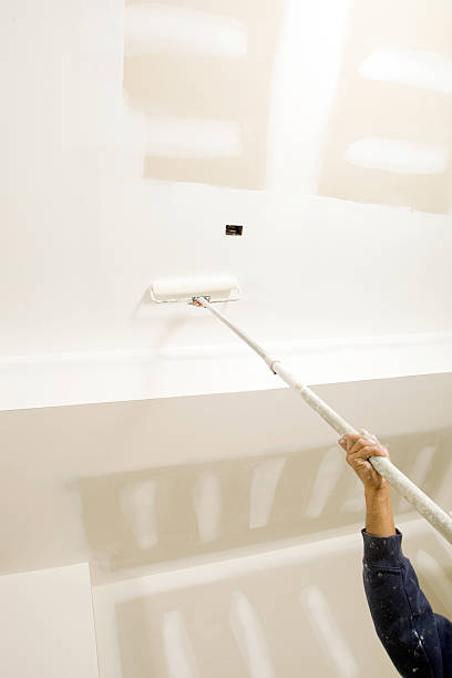 Best Mold Documentation for Insurance Claims  in Honsville, GA