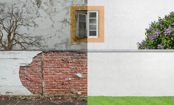 Hogansville, GA Mold Removal Company