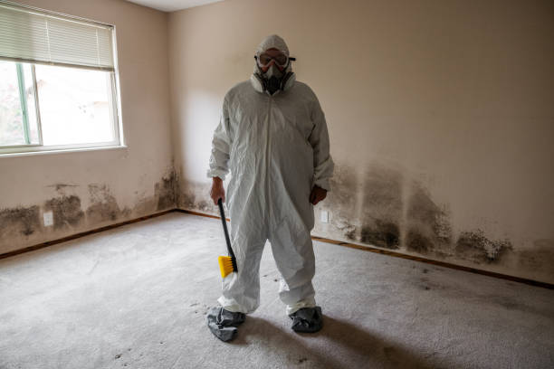 Mold Remediation for Rental Properties in Hogansville, GA